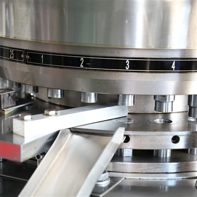 Multi Station Rotary Press