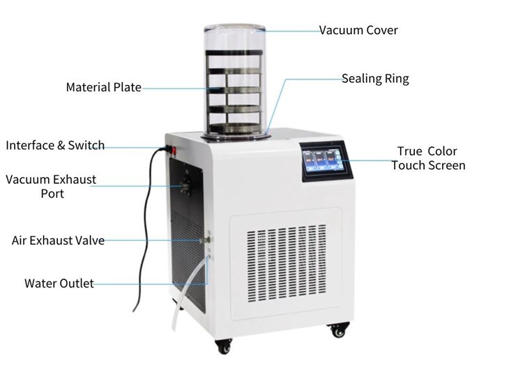Mini Freeze Dry Machine